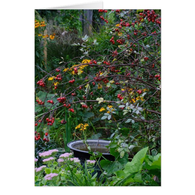 Jardin d'automne (Devant)