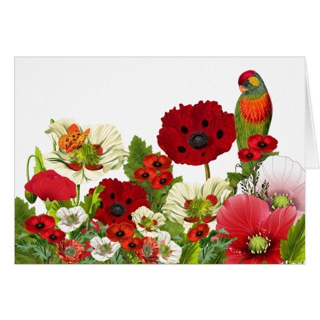 Jardin de coquelicots avec Parrot Lorikeet Blank (Devant Horizontal)