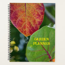 Jardin de feuilles de raisin marin