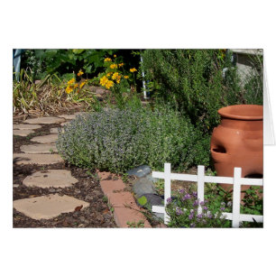 Jardin de herbes aromatiques