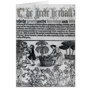 Jardin de herbes aromatiques médiéval