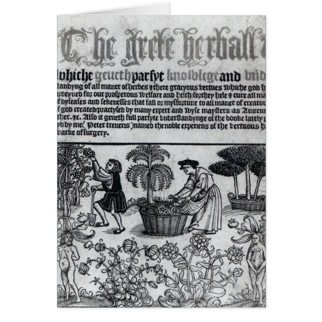 Jardin de herbes aromatiques médiéval (Devant)