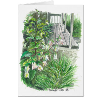 Jardin de jardin
