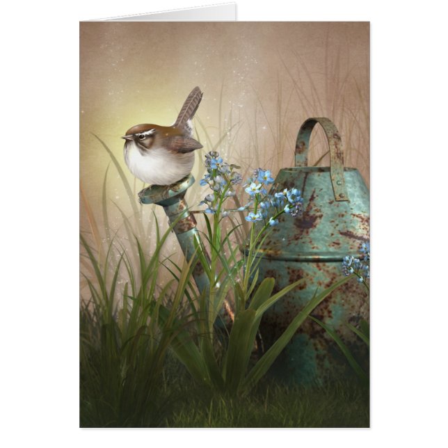 Jardin de l'été indien de la Saint-Martin de (Devant)