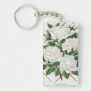 Jardin de roses grimpantes blanches antiques victo