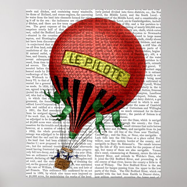 Jardin De Tuileries Hot Air Ballon Poster (Vorne)