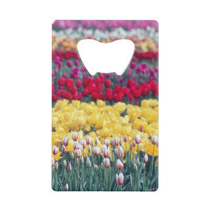 jardin de tulipes dans la vallée de Skagit,