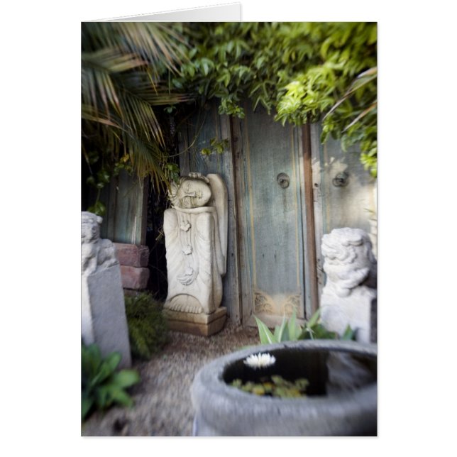 Jardin d'éclaircissement (Devant)