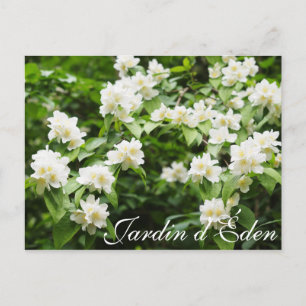 Jardin d'Éden Postkarte