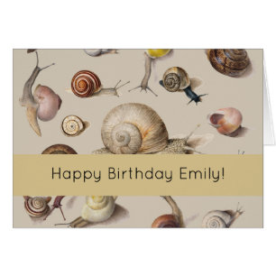 Jardin d'escargots Animaux de compagnie Gastropod 