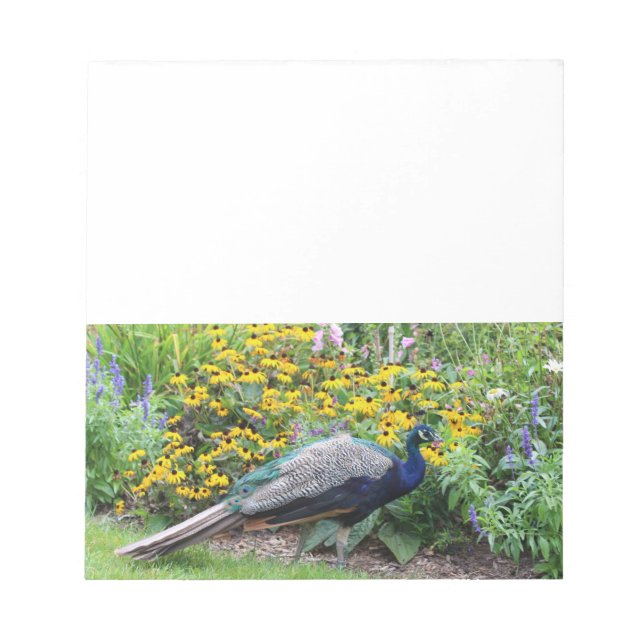 Jardin d'été avec bloc-notes Peacock (Devant)