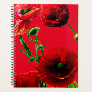 Jardin d'été de fleurs de pavot vert rouge