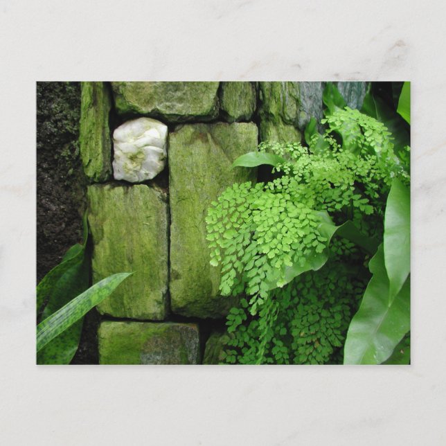 Jardin en pierre - Carte postale (Devant)