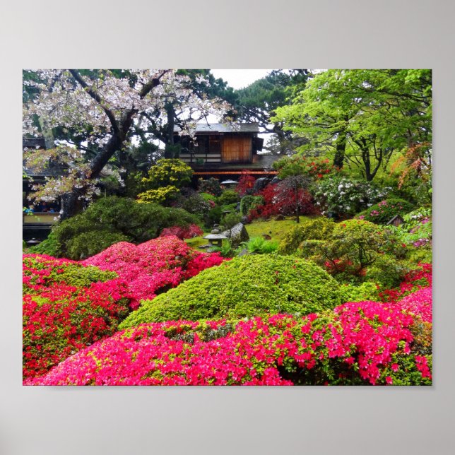 Jardin japonais de thé de San Francisco #12 Poster (Devant)