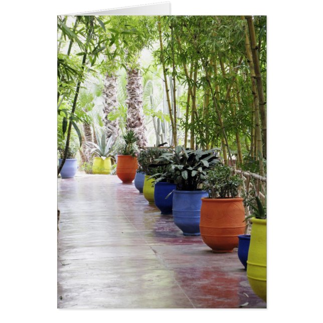 Jardin Majorelle, Majorelle Garden, jetzt öffentli (Vorne)