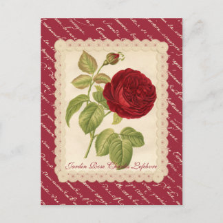 Jardin Rose Charles Lefebvre Postkarte