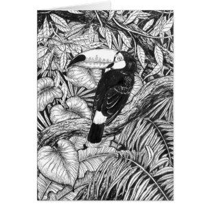 Jardin tropical toucan