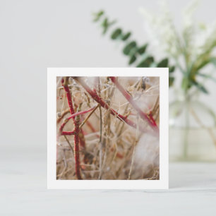 Jardinage Carte de visite Roses sauvages