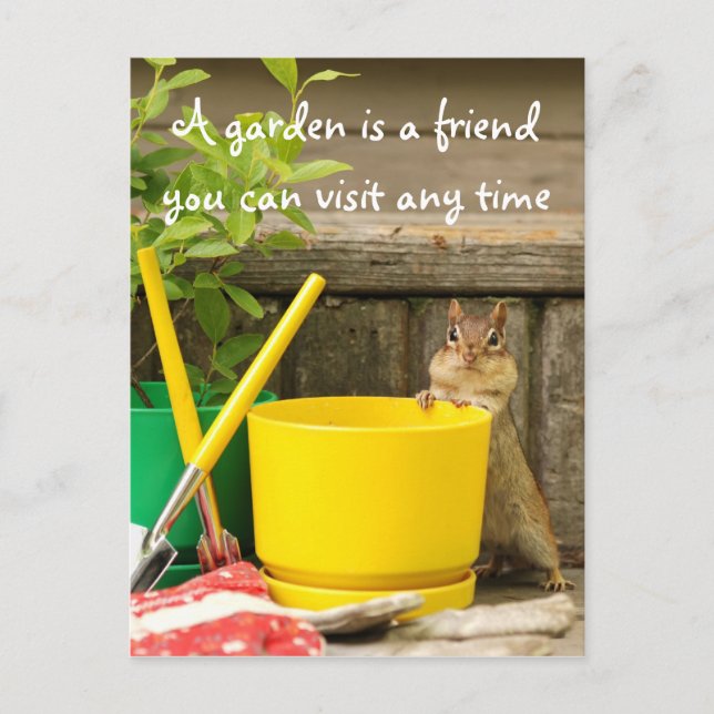 Jardinage Chipmunk avec carte postale (Devant)