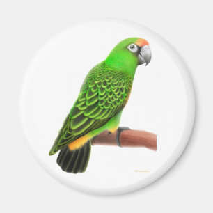 Jardines Papageien-Magnet Magnet