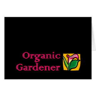 Jardinier bio - Calla Lilies