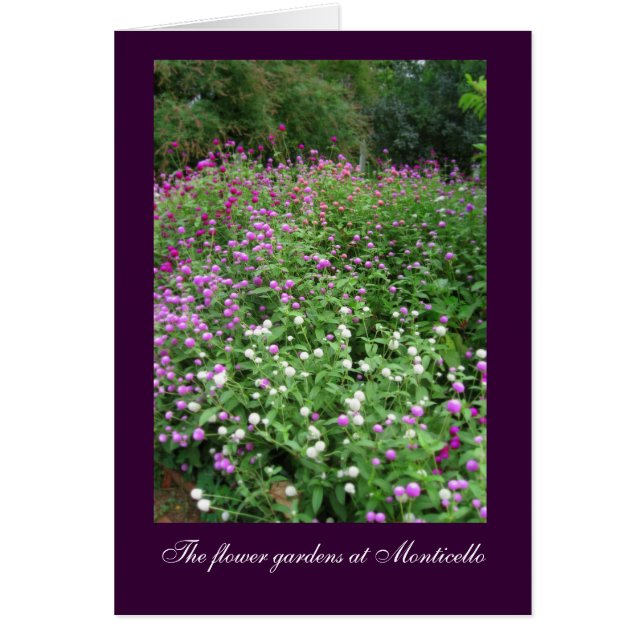 Jardins aux fleurs de Monticello (Devant)