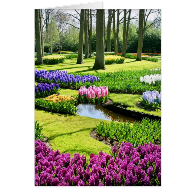 JARDINS DE KEUKENHOF, LISSE HOLLANDE (Devant)