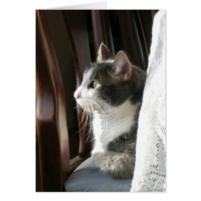 "Jasmin" (2) (Devant)