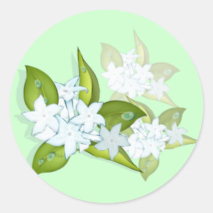 Jasmin-Blumenaufkleber Runder Aufkleber