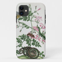 Jasmin: mit Schlange, Motte, caterpiller und