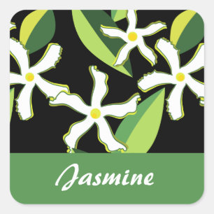 Jasmin-Retro abstraktes mit Blumenmuster Quadratischer Aufkleber