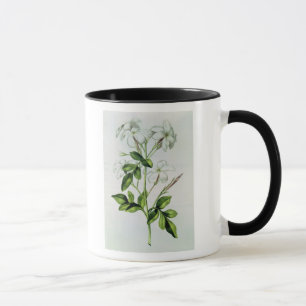 Jasmin, von 'La Guirlande de Julie' Tasse