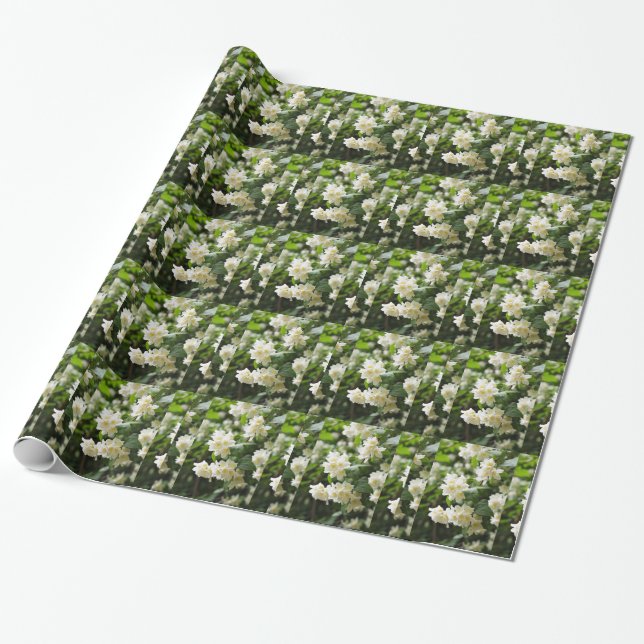 Jasminblüten Geschenkpapier (Ungerollt)