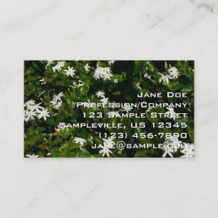 Jasminblüten Tropische Botanische Blumen Visitenkarte