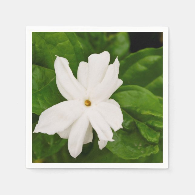 Jasmine-Blume Serviette (Vorderseite)