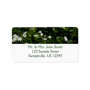 Jasmine Blume Tropical Floral Botanic Adressaufkleber