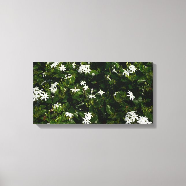 Jasmine Blume Tropical Floral Botanic Leinwanddruck (Vorderseite)
