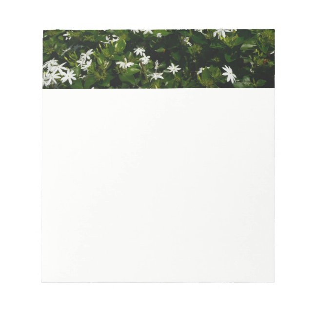 Jasmine Blume Tropical Floral Botanic Notizblock (Vorderseite)