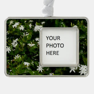 Jasmine Blume Tropical Floral Botanic Rahmen-Ornament Silber