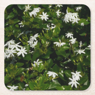 Jasmine Blume Tropical Floral Botanic Rechteckiger Pappuntersetzer