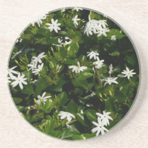 Jasmine Blume Tropical Floral Botanic Untersetzer