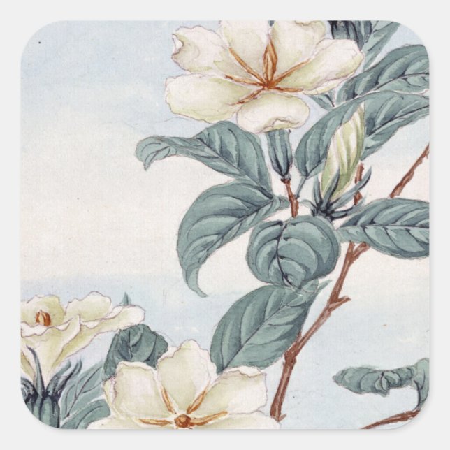 Jasmine-Blume (Vintage japanische Kunst) Quadratischer Aufkleber (Vorderseite)