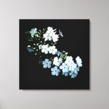 'Jasmine Detail' Wrapped Canvas-Druck