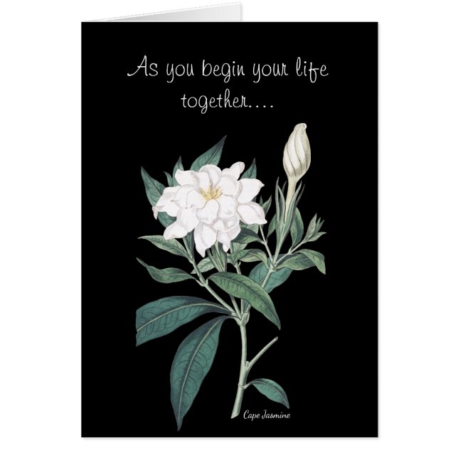 Jasmine Flowers Mariage (Devant)