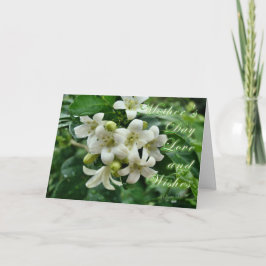 Jasmine-Karte zum Muttertag Karte