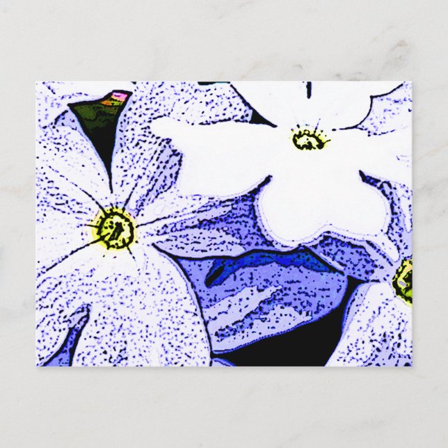 Jasmine Postkarte (Vorderseite)