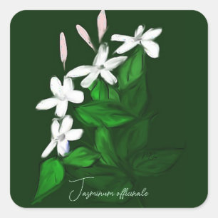Jasmine Quadratischer Aufkleber