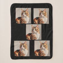 Jasmine the Calico Cat painting