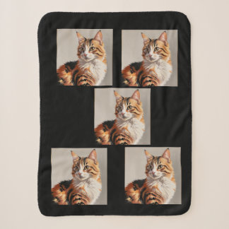 Jasmine the Calico Cat painting Sherpadecke