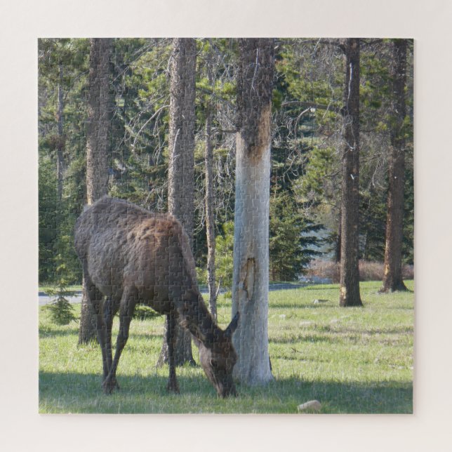 Jasper National Park, Alberta Canada Puzzle (Vertikal)